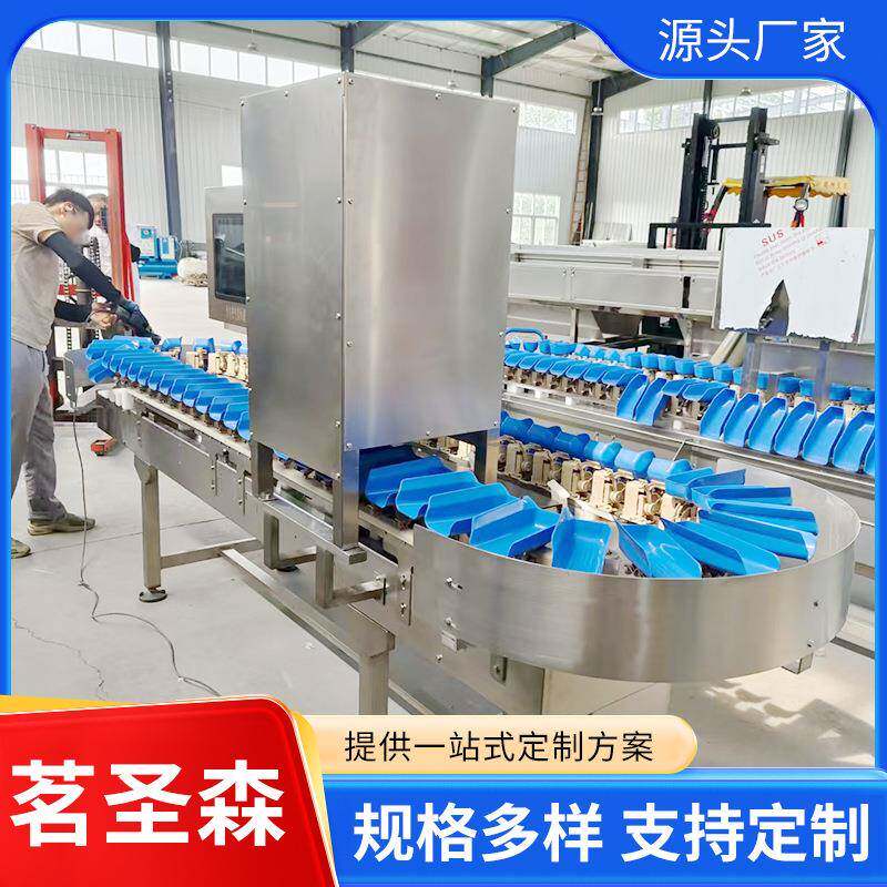 鲍鱼大小分级视觉分选机 水产海鲜预处理流水线 自动分拣残次设备
