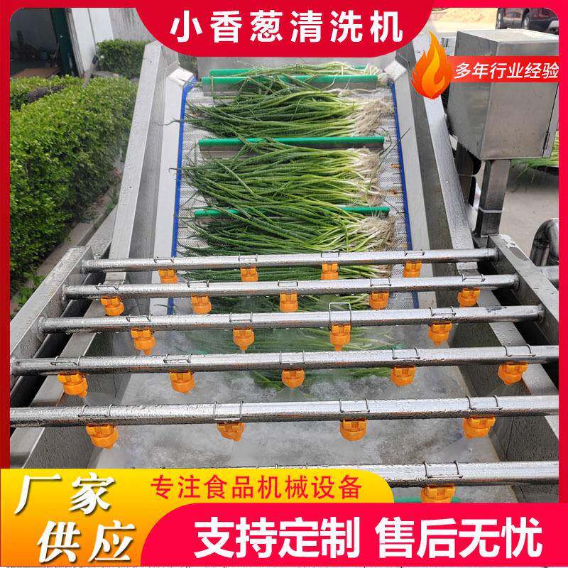小葱喷淋气泡清洗机水浴式大葱清洗机全自动蔬菜鼓泡翻滚清洗机