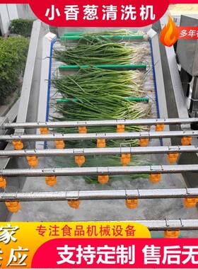 厂家全自动果蔬气泡清洗机艾蒿气泡翻浪清洗线野蒜清洗机设备