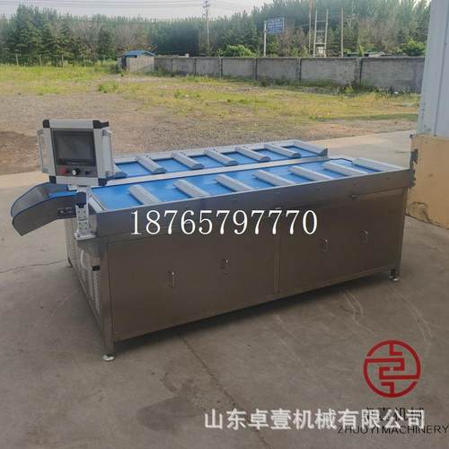 定量秤全动水果量分选配自重称青菜重瓜果在线分组合设备ZY-FZC配