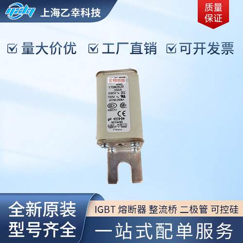 巴斯曼熔断器 170M2056 170M2057 170M2058 170M2059 170M2060