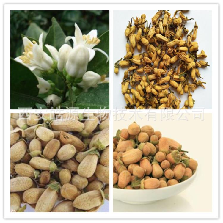 代代花提取物10:1，植物原料 厂家供应 玳玳花提取一公斤起订皓源