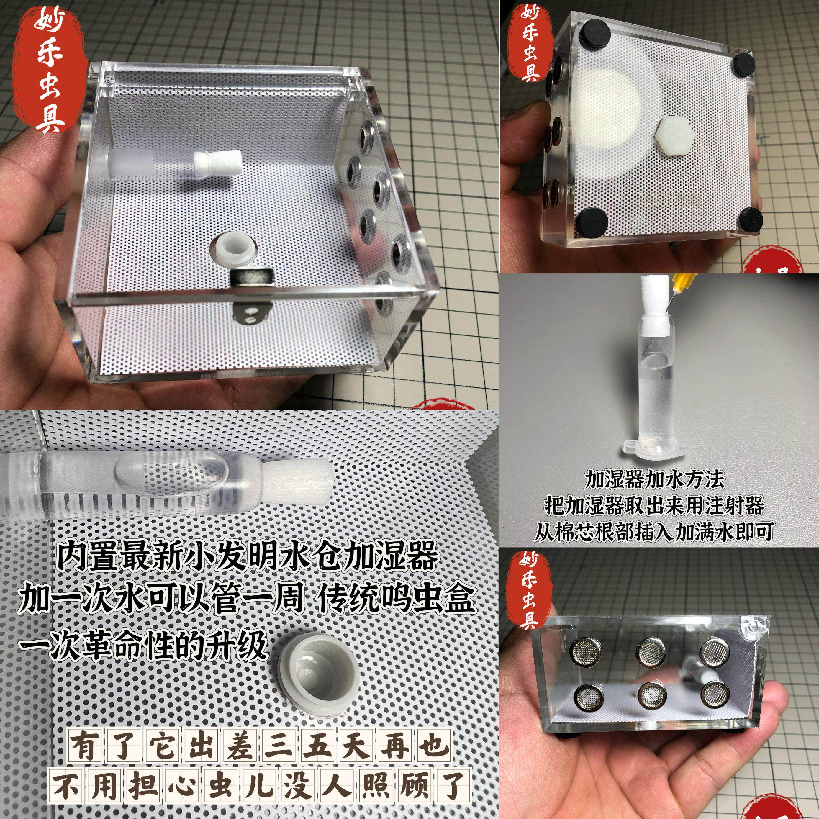 升级款懒人鸣虫盒跳蛛饲养盒大黄蛉小黄蛉竹蛉电报蛉金钟霍氏片蟋