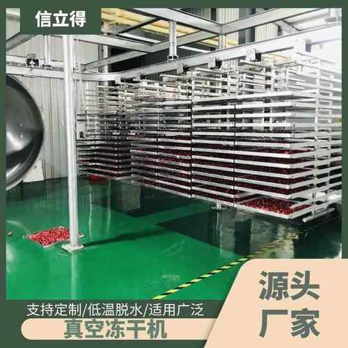 厂家供应小型液体真空冻干设备 100平果蔬脆冻干机 食品真空冷冻