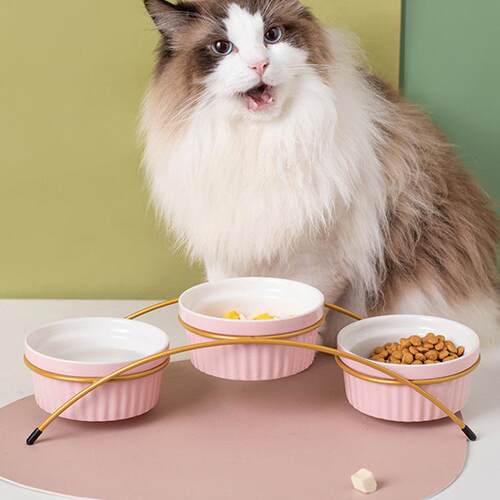 新品猫碗陶瓷三碗猫咪食碗狗狗碗食盆保护颈椎饭碗喝水碗饭盆套装