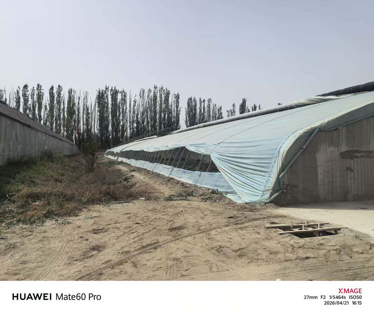 5月7日阿拉尔市十团13连9号日光温室大棚网络拍卖公告