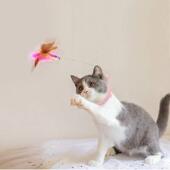 Funny Feather Pets Cat Bell Toys with Interactive Teaser