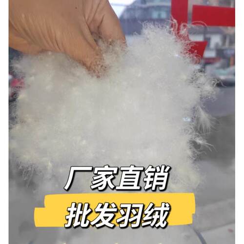 厂家直销羽绒散装羽绒被填充物优质95大朵吊吊绒精洗无菌无味羽绒