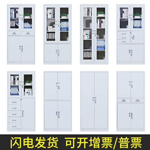 钢制文件柜公室财务凭证柜铁皮柜带锁储物柜带抽屉档案柜资料柜
