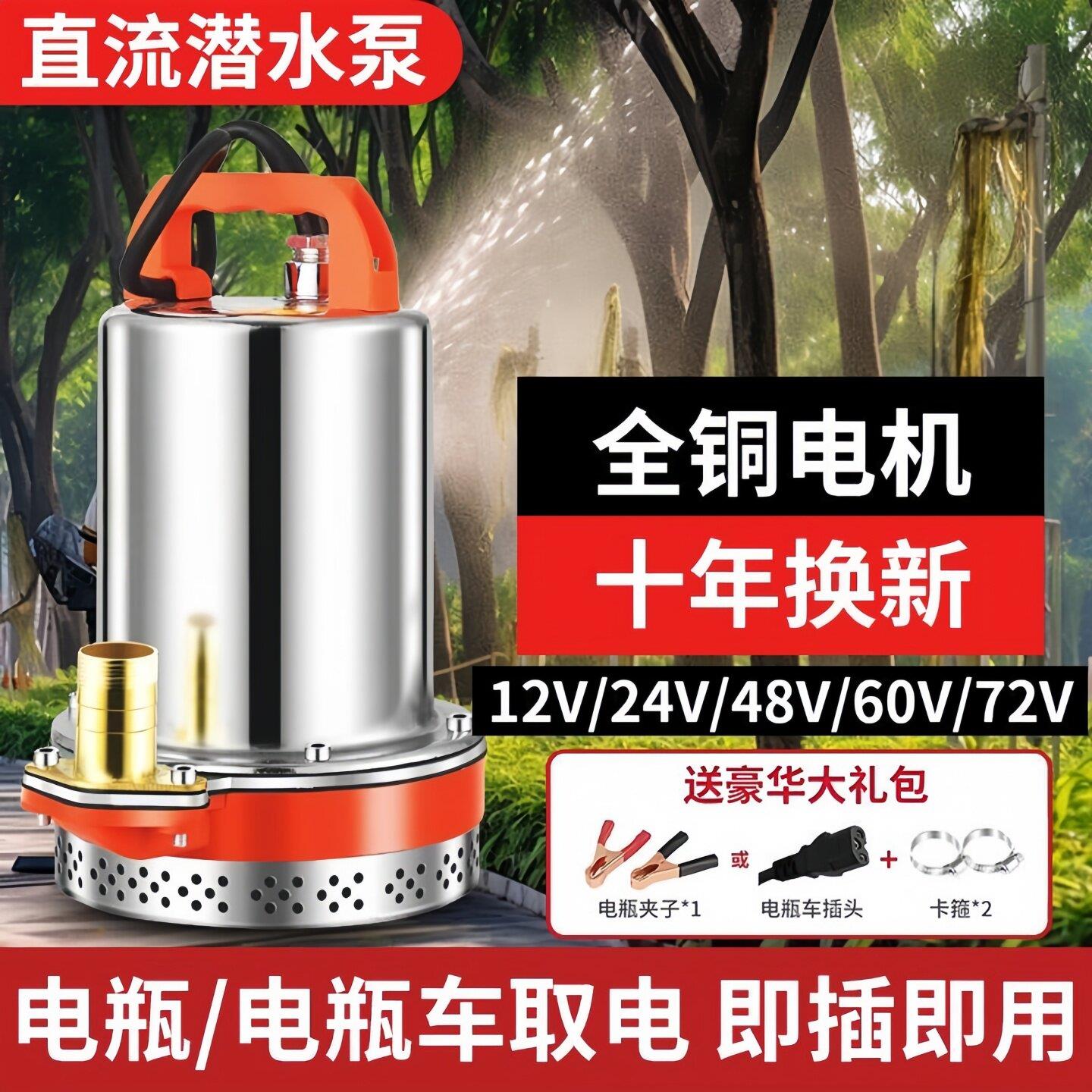 插电瓶车抽水泵12v24v36v48v72v伏三轮车电动车潜水泵大流量农用