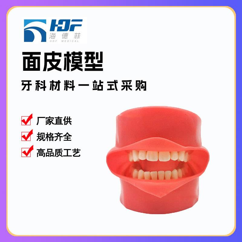 全口可拆卸备牙模型28颗牙齿模型加面皮
