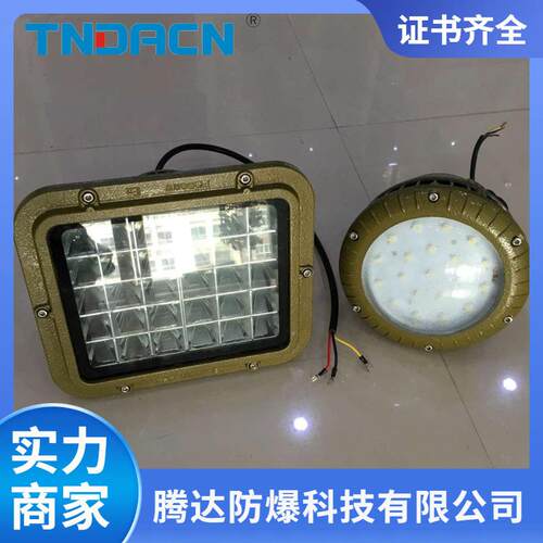 乐清防爆LED灯ccd96系列免维护防爆灯10w20W50w化工厂照明灯