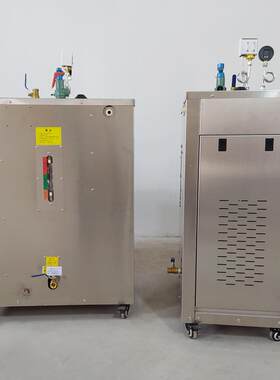 河北水泥制品脱模养护蒸养机48KW水泥活动房冬季养护蒸汽发生器