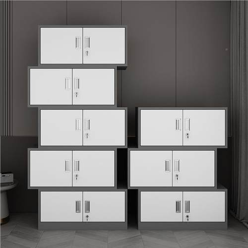 套色文件柜办公室TSWJG-16铁皮柜财凭档证柜带锁资料案柜钢制务储