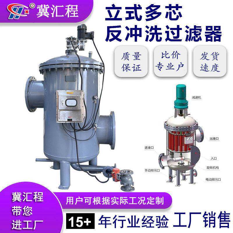 多芯反冲洗过滤器全自动定时压差排污多支楔形滤芯精度高流量大