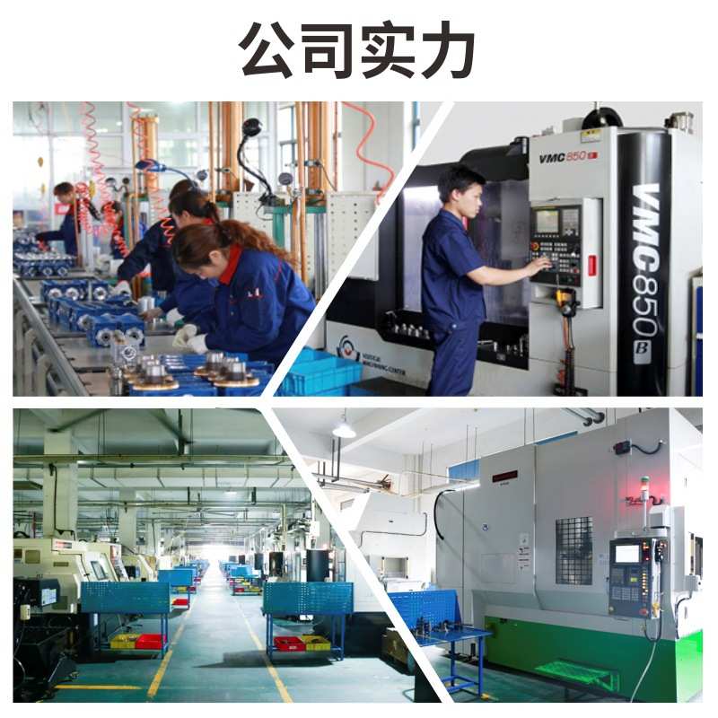 系列丝杠 滚珠螺旋杆小型丝螺杆电动升降机蜗轮升降器手摇swl