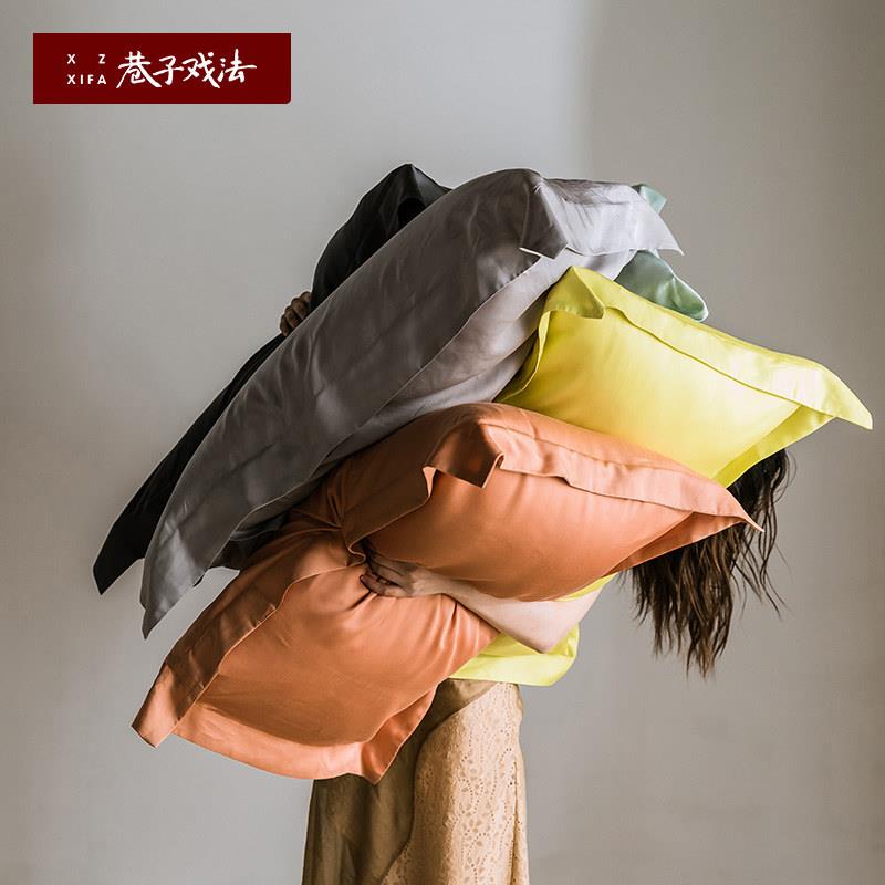 巷子戏法 夏季网红款天丝冰丝枕套枕头枕套外套一对装枕芯套男