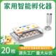 HD20枚孵化动器家禽小鸡孵化养殖蛋器XJIH可孵自上水孵化机养殖户