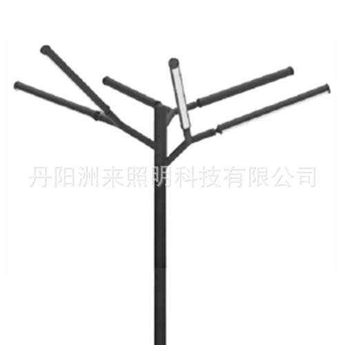 ZOLAI洲来 led景观灯 120wled庭院灯头 几何线型6头led花枝灯