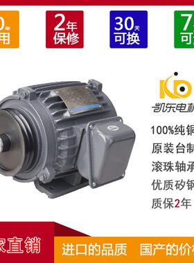 东莞电机厂家供应车床磨床机械设备皮带轮电机耐高温马达380V750W