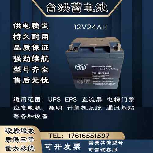 台洪蓄电池TH-12V24AH 直流屏 UPS电源主机 电梯消防 应急电源
