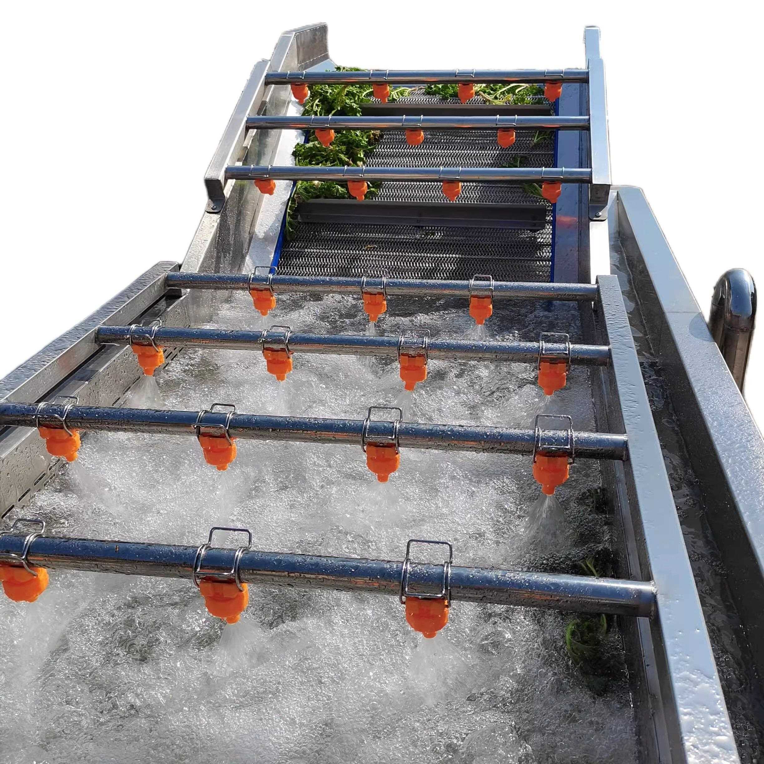马铃薯、红薯泡清洗机萝卜、姜清洗流水线竹笋、水果、蔬菜泡清洗