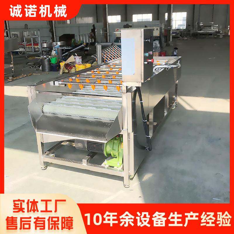 全自动不锈钢生姜花生毛辊清洗机商用莲藕果蔬类去皮去泥机设备