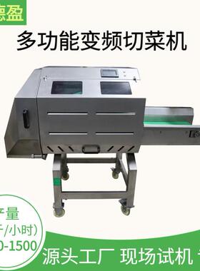 大型双刀切菜机蔬菜水果白菜切丝切片切段切碎机食堂后厨加工设备