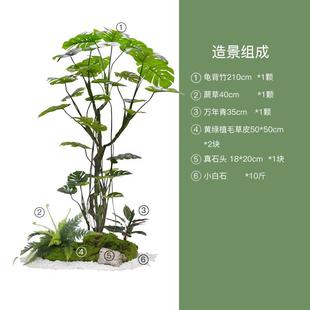 饰仿真假花绿植植物景观装 正品 南森空花间楼梯下造软景角落天竹装