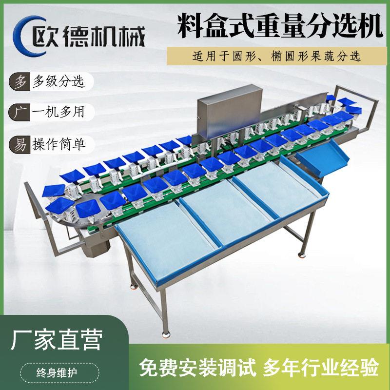 在线分拣机椰皇分级机 橘子重量分选机 料盒分拣机速度快省人工