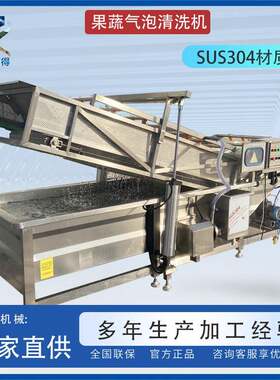 全自动大型商用连续叶类洗菜机枸杞胡萝卜大枣清洗设备果蔬清洗