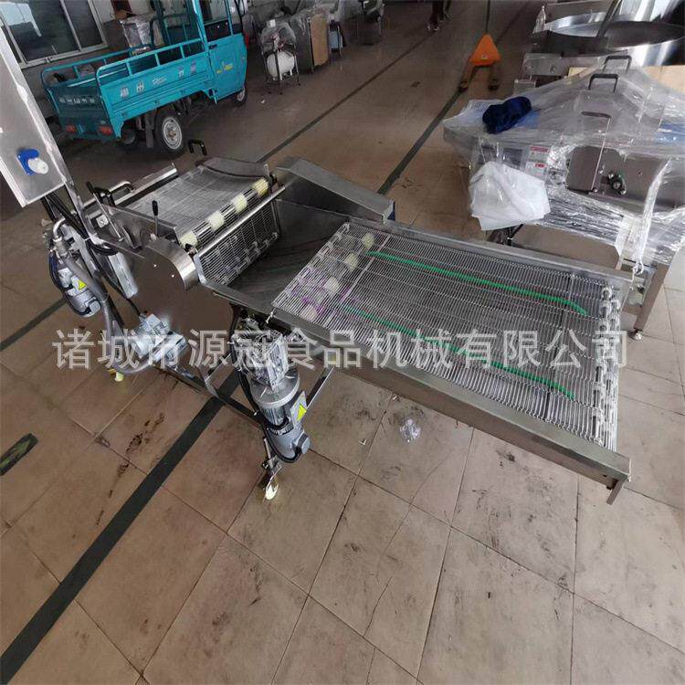 天妇罗挂浆机 连续式寿司卷上浆机 肉条鸡排鱼片浸浆设备定制