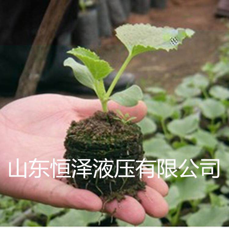 200吨营养基质成型机牛粪育苗块油压机营养快成型液压机