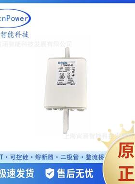 销售型号170M5146630A1250V高压跌开式熔断器/保险丝/底座