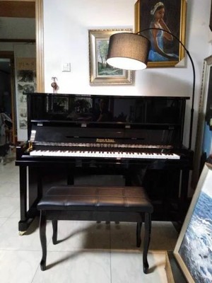 谁来说说布鲁诺钢琴和珠江对比哪个好用些，来说说真相？