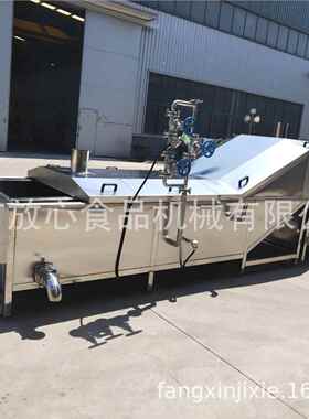 蒸全自动蔬水菜焯水机 厂FX-1000家直销 漂烫 自动化煮漂烫机流线