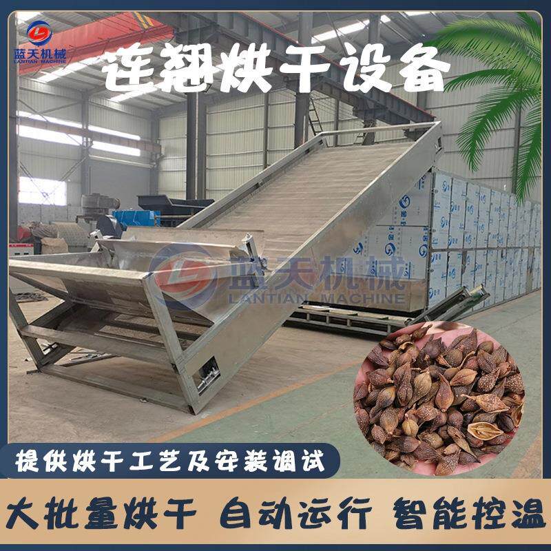 连壳烘干设备全自动青翘落翘老翘杀青烘干生产线网带连翘烘干机