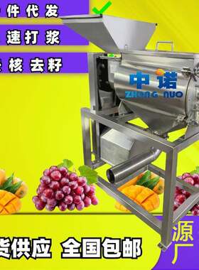 中小型水果打浆机厂家 红枣泥打泥机去籽机 小型木奶果渣浆分离机