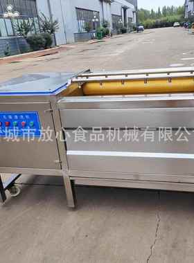 清土豆去皮清洗机 胡VNJ洗萝卜去皮机 药材清洗蔬机 多功能菜清洗