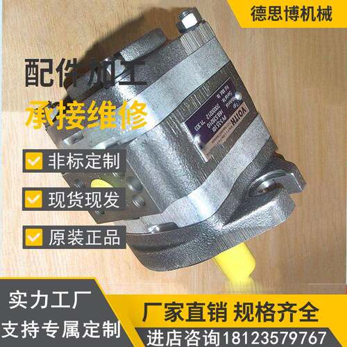 德国福伊特VOITH齿轮泵IPVP6-64-101伺服液压油泵IPVP6-80-101