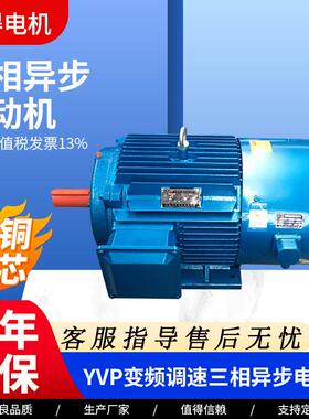 变频调速三相异步电机YVP-225S-4-37YVP-225M-4-4YVP-250M-4-55