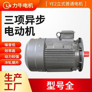 0.55机械设备用纯铜线电机6级高精度电机 三相异步电动机YE2