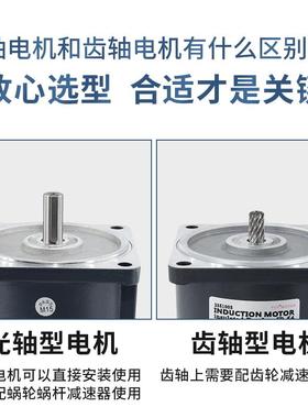 天力848微型减速电机光轴6W-3005I相K120机AC定速单交流调速电W马