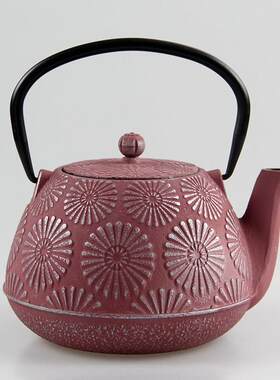 1200ml欧式西式手工泡茶壶煮茶壶铸铁壶烧水壶家用养生铁茶壶茶具