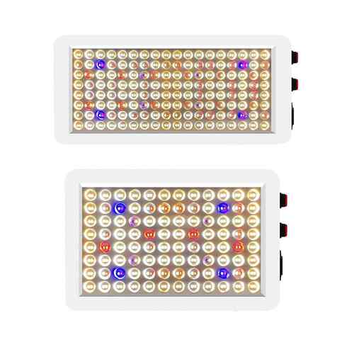 谦润照明植物补光灯LED全光谱育苗灯双模式开关植物灯100-277V