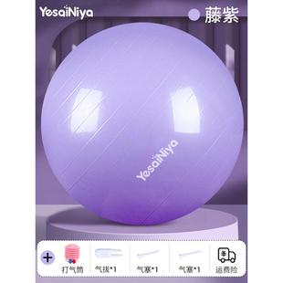 高档宝瑜伽球衡儿童婴儿感觉统合训练球防宝早教触觉按摩大龙球加