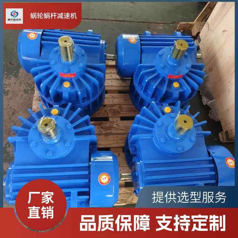 CWS315-60-2F大型蜗轮蜗杆减速器减速机