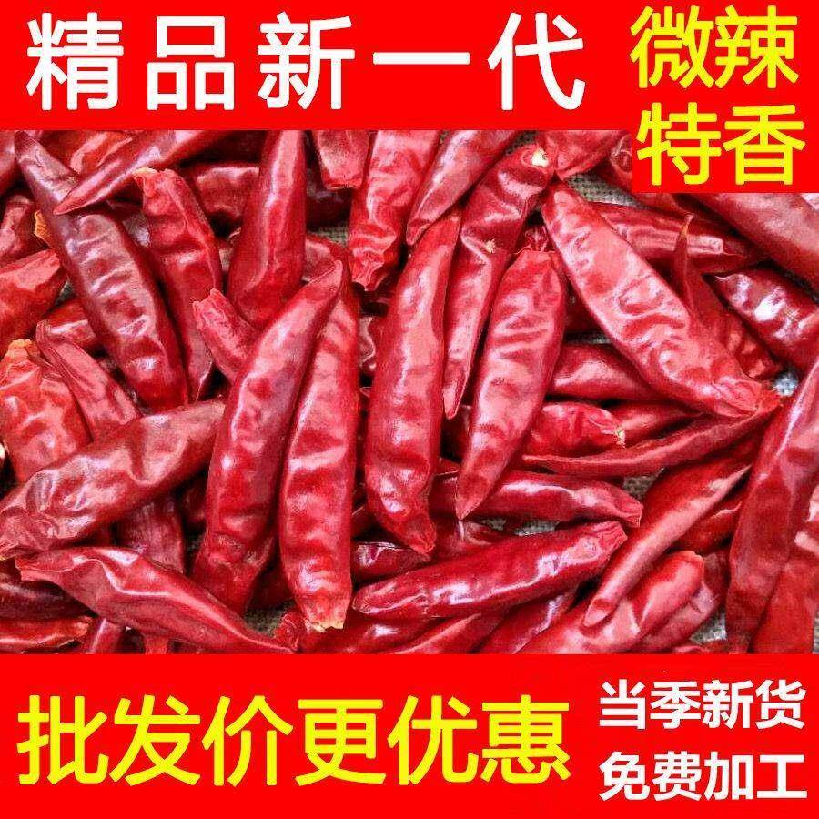 现货精品河南新一代微辣特香干 干辣椒朝天椒三樱椒天鹰椒辣椒段