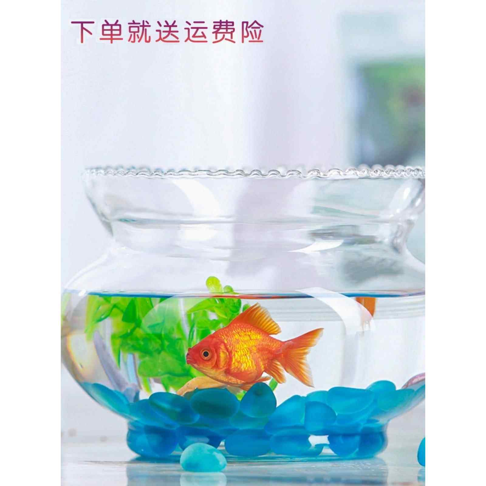 迷你小型桌面花边缸办公室金鱼缸水培绿萝超白玻璃圆形花边造景缸