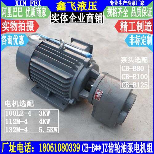 LWBZ-CB-B80 B100 B125 JZ齿轮油泵电机组装置YE2-L00L2-4 3KW